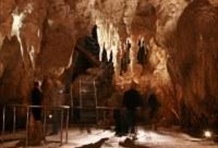 Waitomo / Rotorua Deluxe Tour Including Zorb